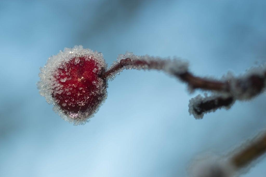 Bild von Wheathampstead. wheathampstead unitedkingdom hertfordshire frost england gb 1places
