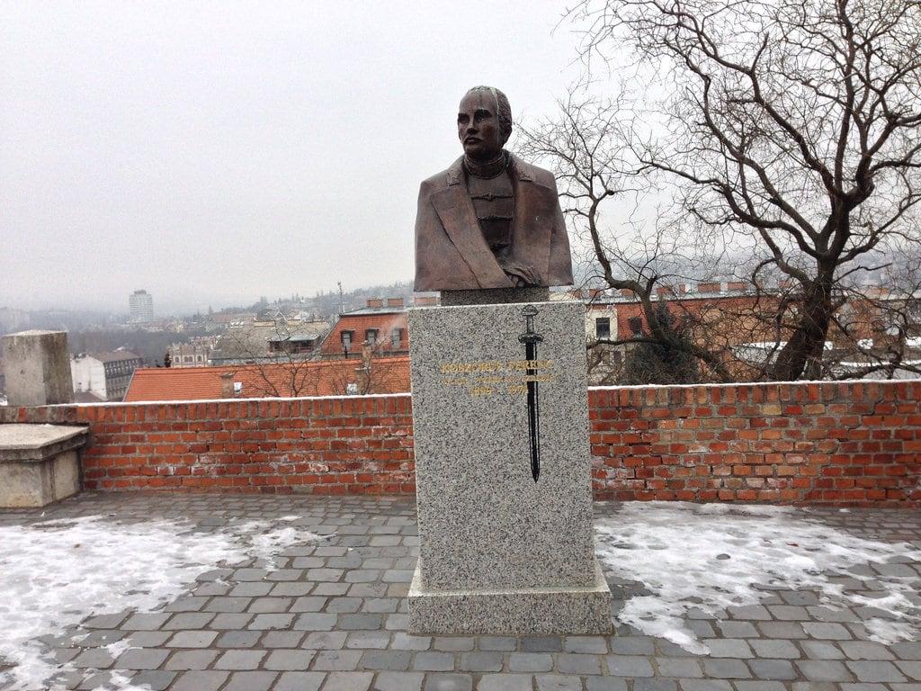 Obraz Koszorús Ferenc. sculpture statue