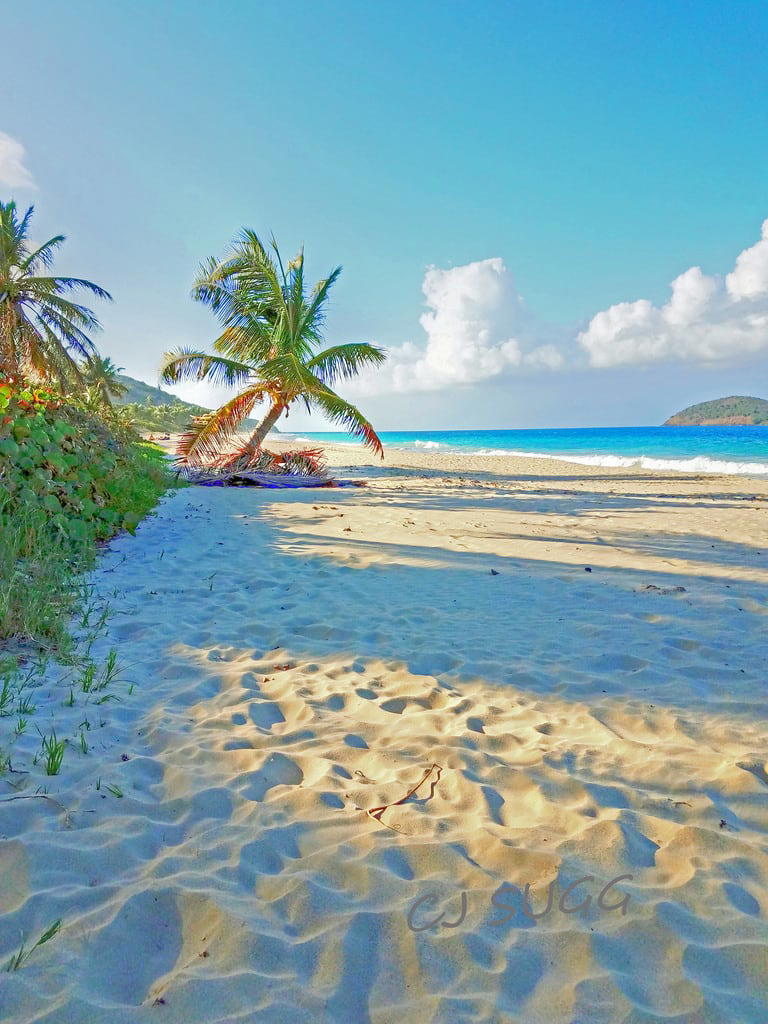 Beaches In Culebra Sea Water Temperature In Culebra List Of Top Beaches Around Culebra 21 Discover The Most Popular Beaches Around Culebra 21