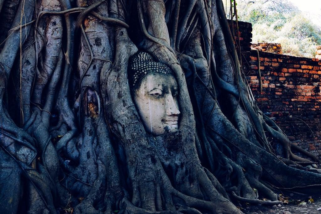 Obrázek Wat Phra Mahathat. watmahathat buddha ancientruins thai ayutthaya statue ilce7m2 thailand テーサバーンナコーン changwatphranakhonsiayuttha タイ テーサバーンナコーン・プラナコーンシーアユッタヤー changwatphranakhonsiayutthaya th