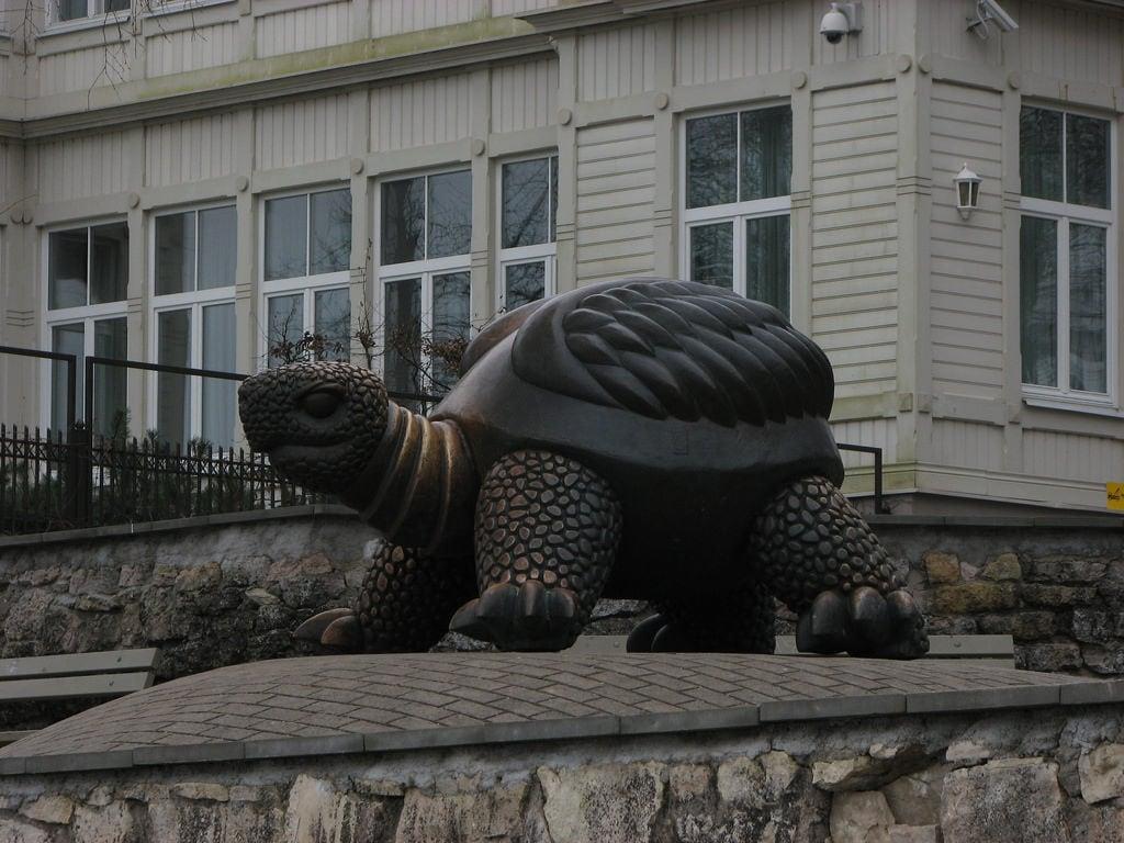 صورة Turtle. jurmala latvia latvija majori turtle sculpture 2017 february юрмала майори латвия черепаха скульптура