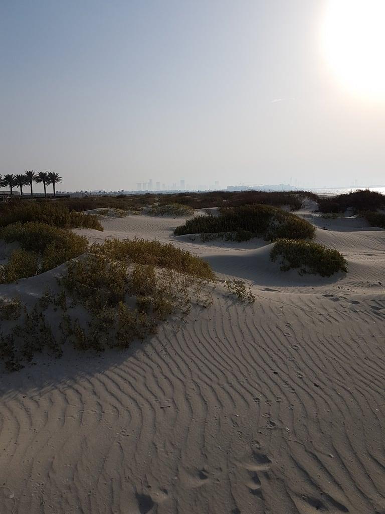 Погода в абу даби температура воды. Пляж Саадият Абу-Даби. Саадият паблик Бич. Абу Даби пляж паблик Бич. Пляж Саадият Saadiyat public Beach.
