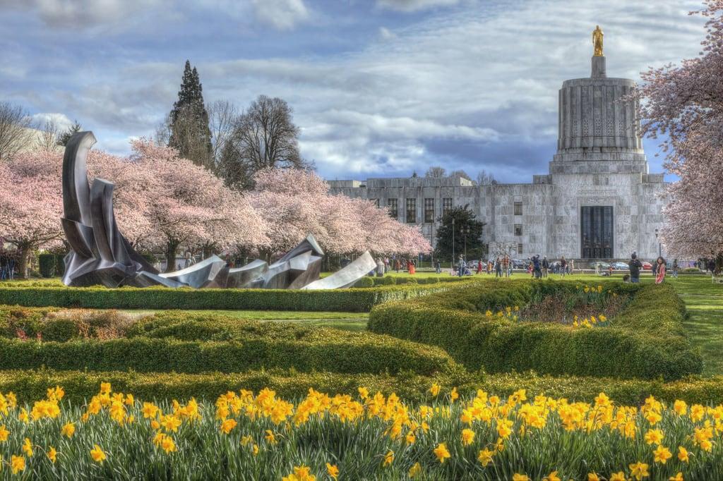 Immagine di Oregon State Capitol. ian sane images springhassprung oregon state capitol building mall salem travelsalem cherry blossom trees pink daffodils flowers yellow landscape photography canon eos 5d mark ii two camera ef70200mm f28l is usm lens sculpture tommorandi weltzinblix spraguememorialfountain
