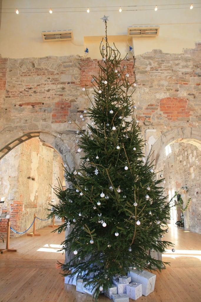 Obraz Lulworth Castle. lulworthcastle sy8582 christmastree
