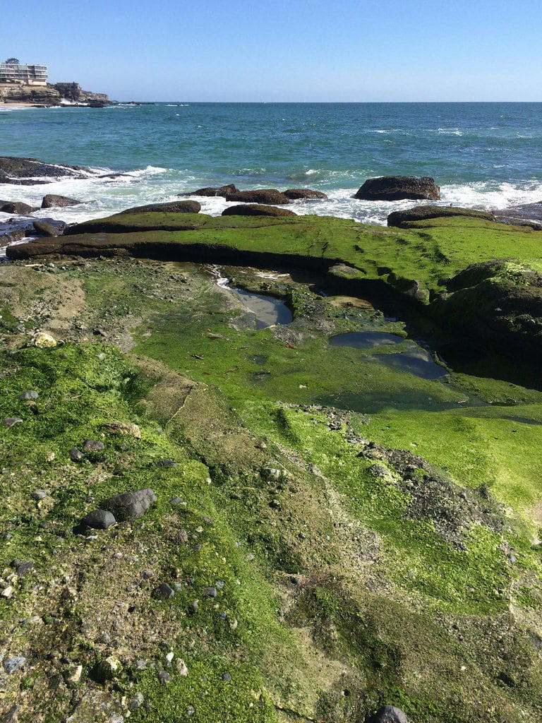 Image of Sandy beach. california united states america usa orange county laguna beach treasure island montage blue lagoon aliso creek alisos crown royal south bluffs