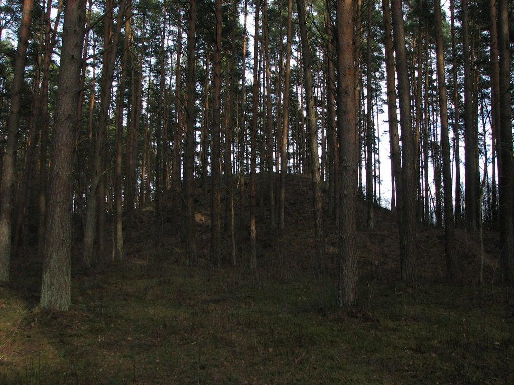 Bild av Babītes pilskalns. latvia latvija canon march 2017 babītespilskalns латвия бабитскоегородище