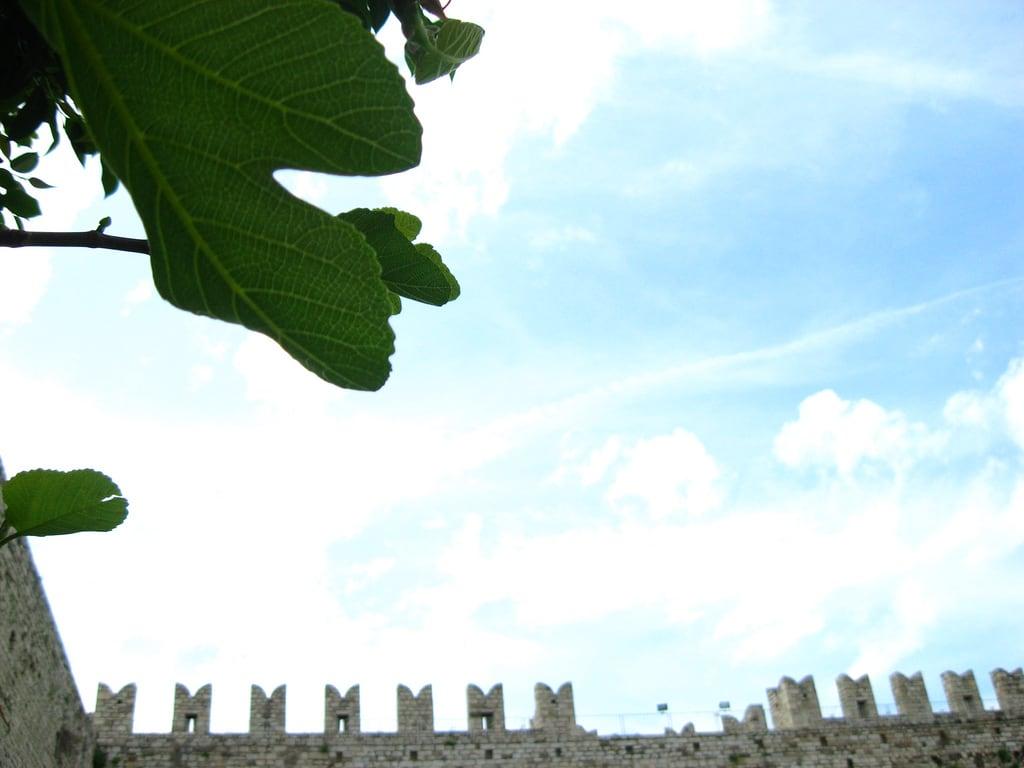 Image of Castello dell'Imperatore. blue light sky verde green castle clouds leaf blu himmel cielo foglia mura nophotoshop blau schloss azzurro castello prato merli fico lichtblau castellodellimperatore