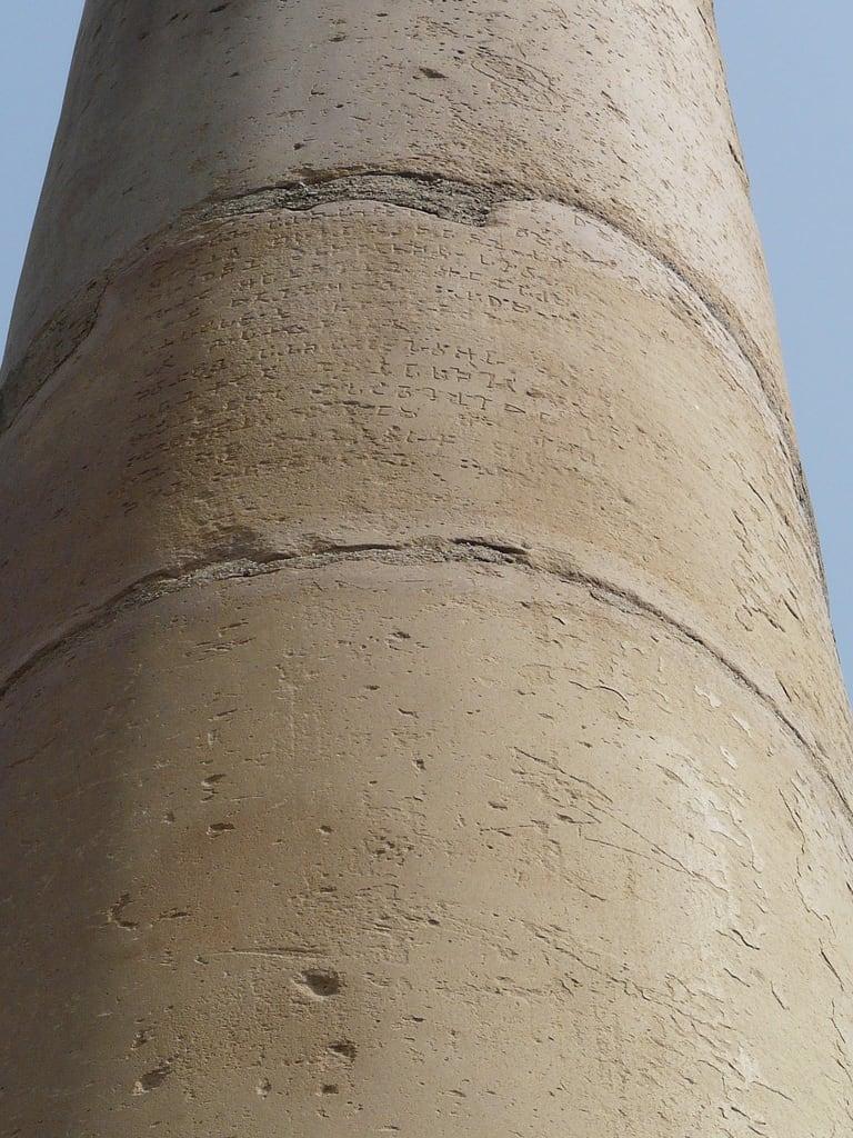 Image of Ashoka Pillar. delhi tughlaq ashokapillar firozshahtughlaq delhiridge tughlak
