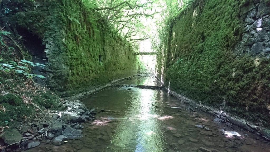 Fussells Iron Works (ruins) 的形象. andy walker scenic walk great elm frome iron founding foundry fussells fussels ironworks works water river mells mell’s valley culvert stream ruins wadbury