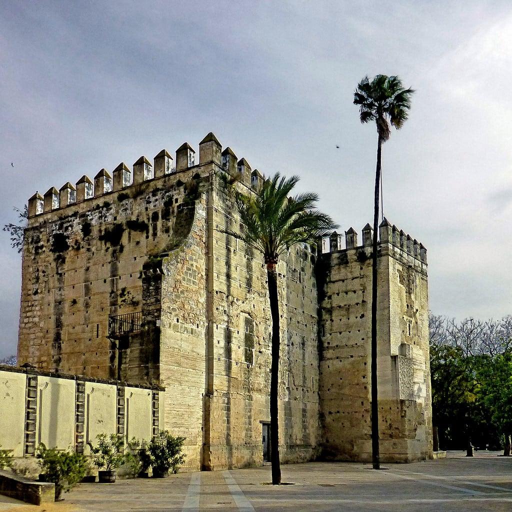 Image of Alcázar de Jerez. jerez andalusia spain andalucìa españa europeanunion april 2017 panasonicdmctz30 castle alcázardejerezdelafrontera alcázar jerezdelafrontera 100 palmtree 150 200 15thcentury 5000