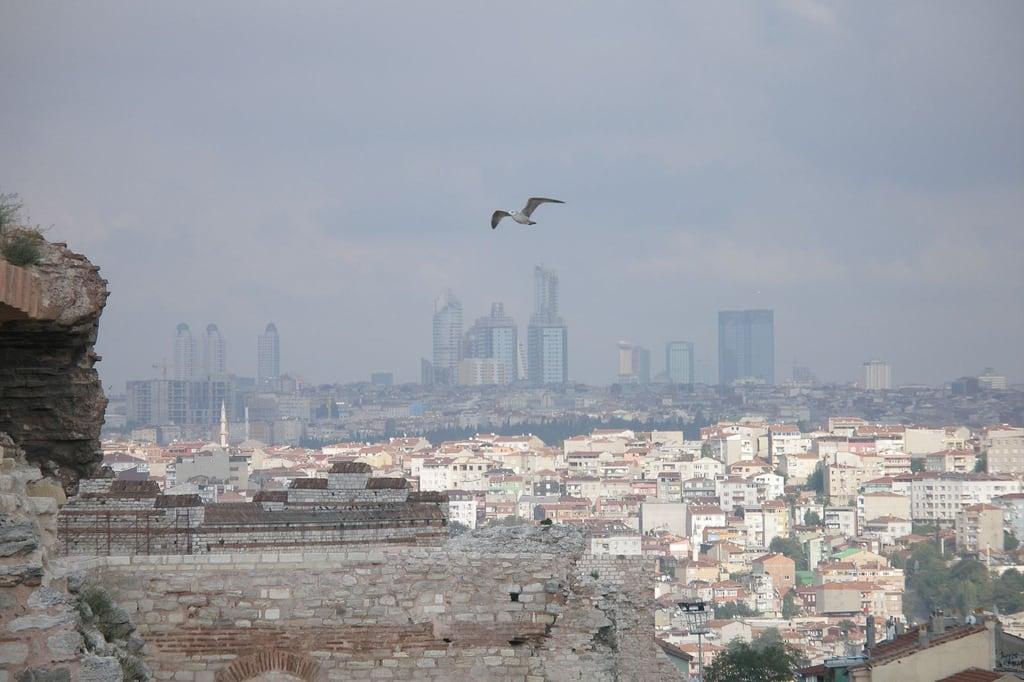 Gambar dari city wall. birds buildings turkey istanbul
