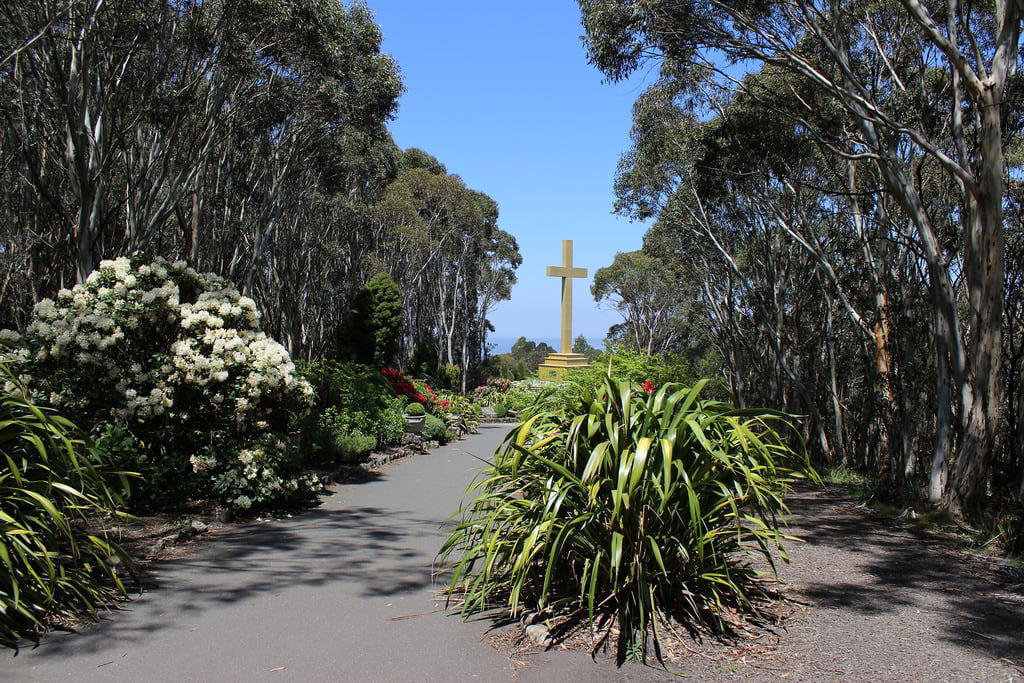 Obrázek Mt Macedon Memorial Cross. macedon mountmacedon macedonregionalpark bushland australianbush cross warmemorial