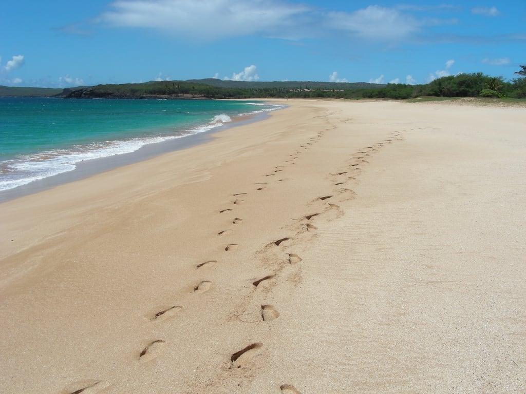 Its beach beach beach. Пляж фото. Пляжи на Гавайях с белым песком. Пляж Папохаку. Гавайи берег.