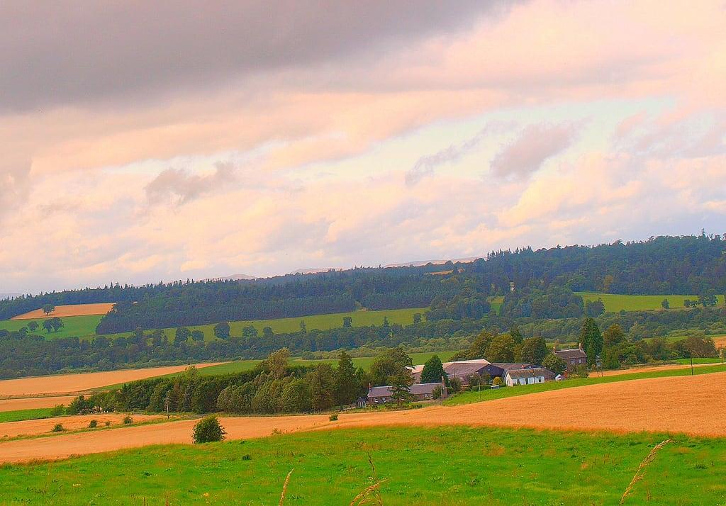 Image de Invermay. sky beauty grass forest scotland cloudy farm wheat perthshire land crops strathspey steading glenfarg bridgeofearn olympuse510 kintillo hllside brianforbes couriercountry thebirksofinvermay