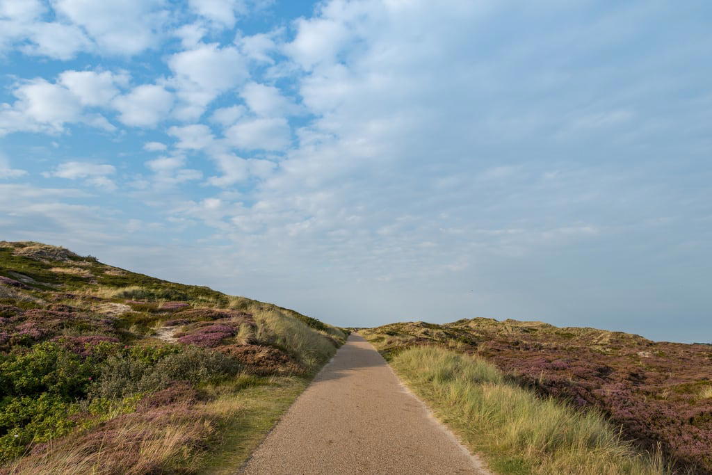 Kuva FKK Kampen. schleswigholstein deutschland nikon amazing fish germany city holiday sea düne sun sightseeing nordseeurlaub westerland mud flat kreuzfahrt island stadt reisen länderstädte geotagged photo weststrand cruise sonneninsel sight hindenburgdamm ebike strandurlaub dune nordseebad wattenmeer outdoor wattenmeerinsel kampen traumstrand sehenswürdigkeit ferien fisch insel beach nordsee north strand summer travel bahn nordfriesische inseln traumurlaub nordfriesland reise allgemein traumstrände