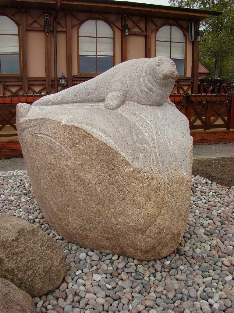 Bild av Серый балтийский тюлень. зеленоградск скульптуры