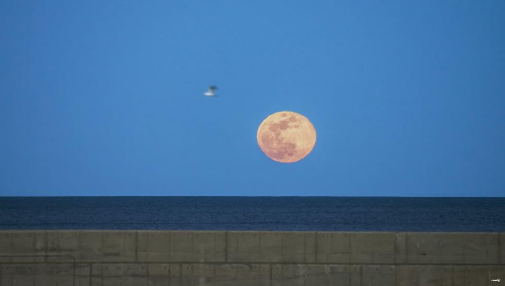 Cala Pepo képe. luna mar puerto gaviota airelibre sonya77 cielo lineas
