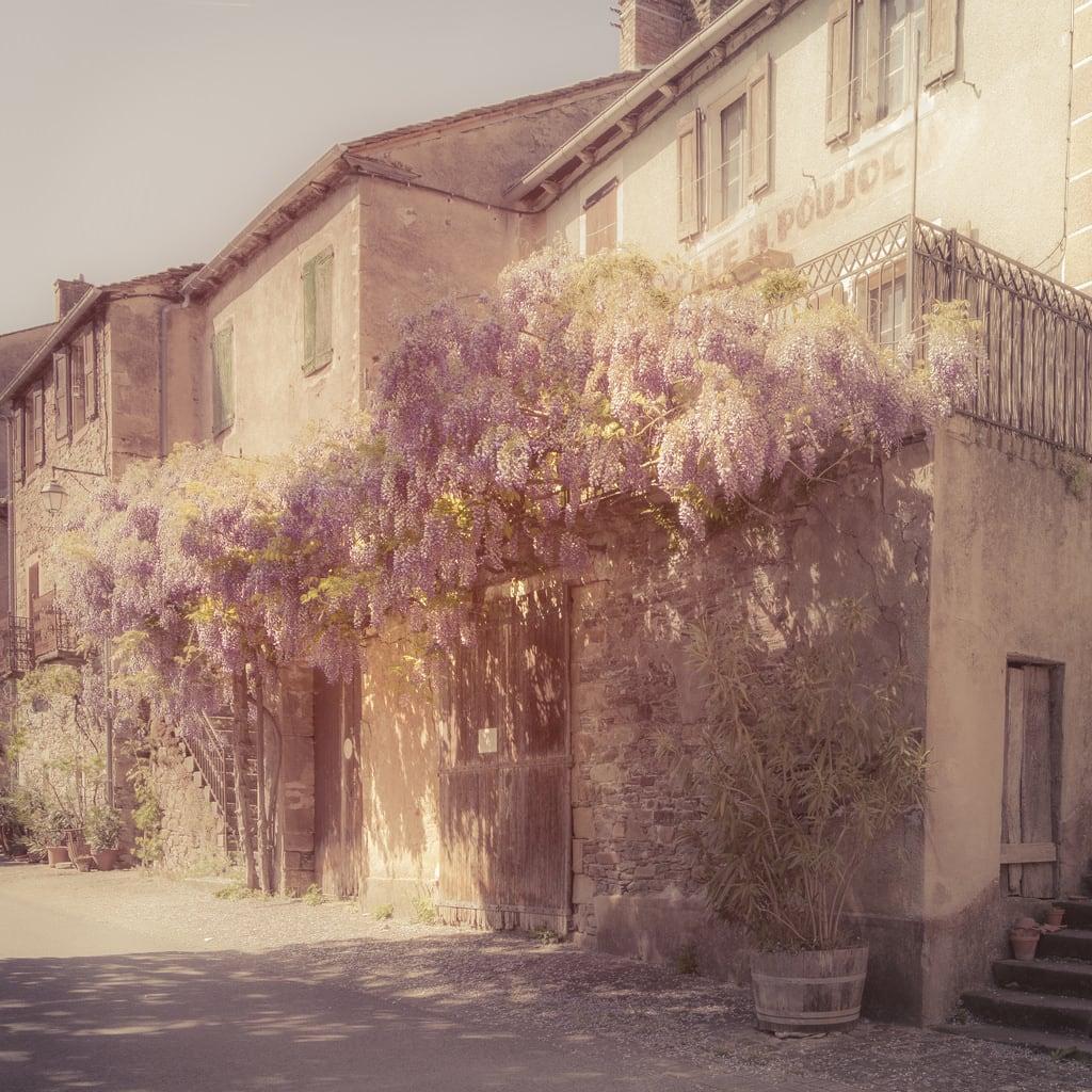 Imagine de Château. brousselechâteau occitanie france fr glycine fleurs rose mauve facade maison printemps