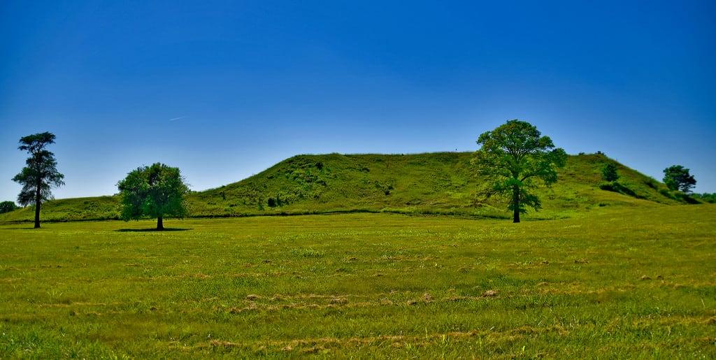 Image of Mound 50. cahokiamoundsstatehistoricsiteil cahokiamoundsnearcollinsvilleil eastviewofmonksmoundcahokiamoundsstatehistoricsitenearcollinsvilleil prehistoricindianmounds indianmoundsillinois roncogswell