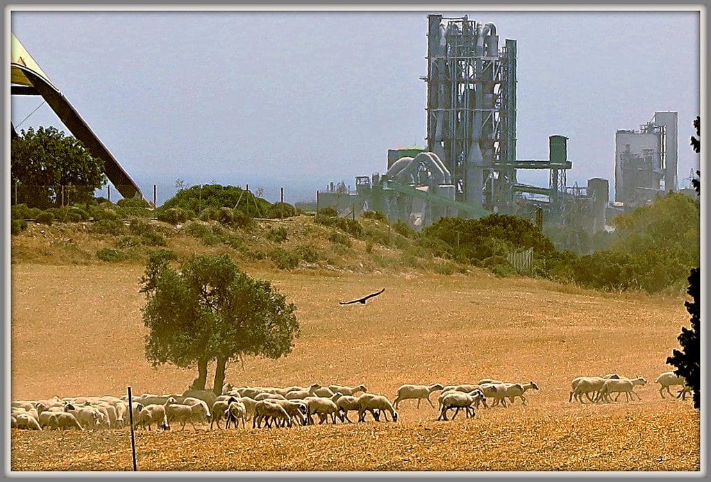 Obrázek Tenta. zypernrep zypernsüd cyprus zypern