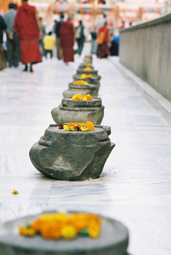 Imagem de Mahabodhi Complex. travel india flower geotagged temple buddhism unesco 花 寺院 worldheritage bihar インド 仏教 佛教 buddhagaya geo:lon=8499131262302399 geo:lat=24696100245835822