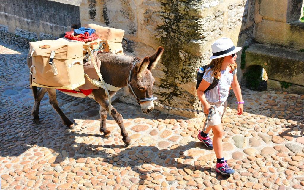 Изображение на Pont Valentré. pilgrim child donkey camino caminodesantiago pontvalentre cahors france bridge walker caminofrancés pilgrimage cute nikon d7100