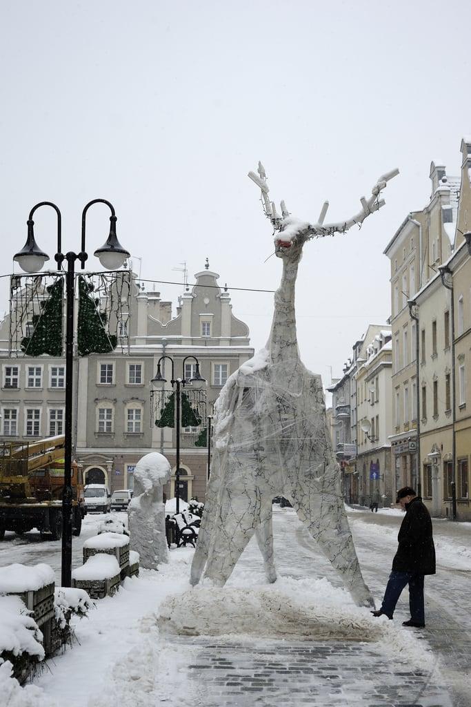 Gambar dari Pomnik. street statue 50mm nikon deer wtf nikkor 50mmf18d marketsquare rynek opole pomnik jeleń d700