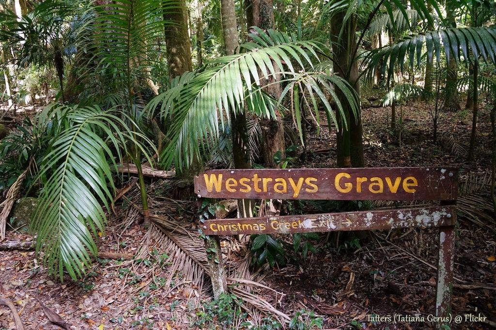 Jim Westray's Grave 的形象. australia queensland bushwalking lamingtonnationalpark westray sign