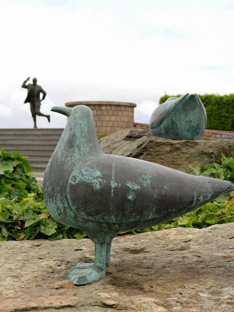 Eric Morecambe Statue görüntü. animal bird entertainerericmorecambe gull sculpture vacation ericmorecambestatue marinerdcentral morecambe lancashire england gbr