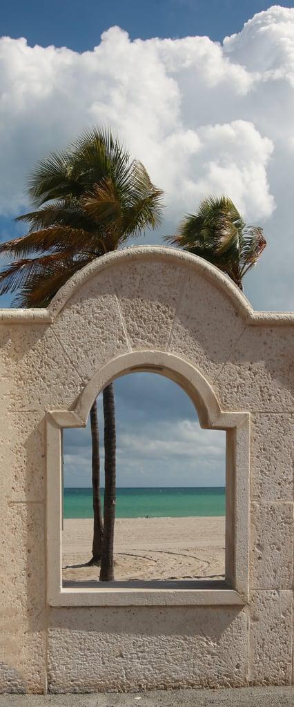 Hollywood Beach 的形象. arch window palm trees atlantic ocean beach palmtrees cloud wall sun