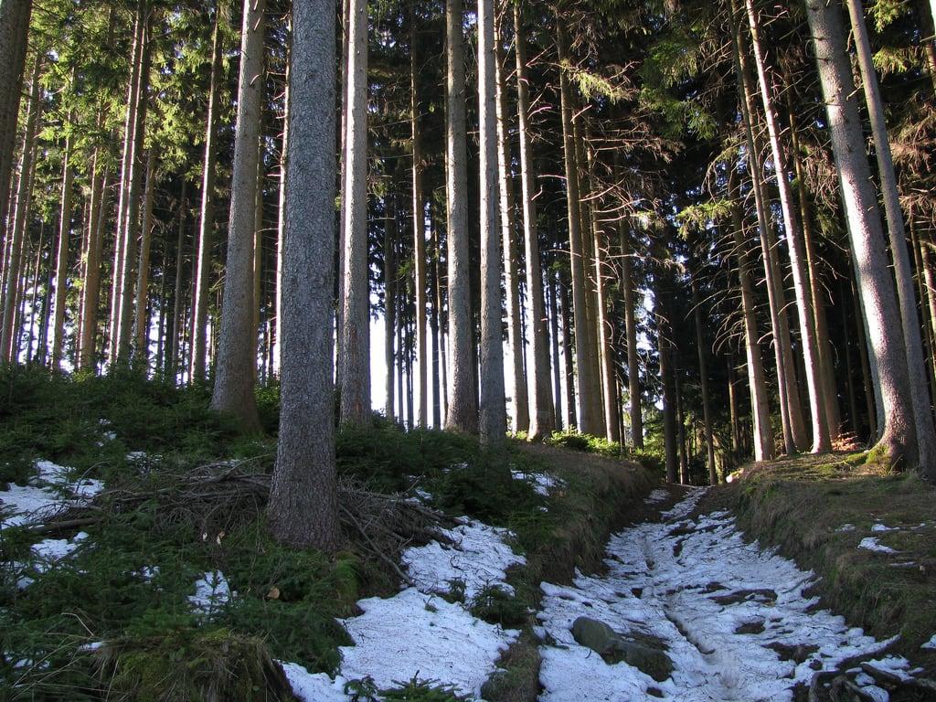 Afbeelding van Zajčev grad. winter nature landscape pohorje