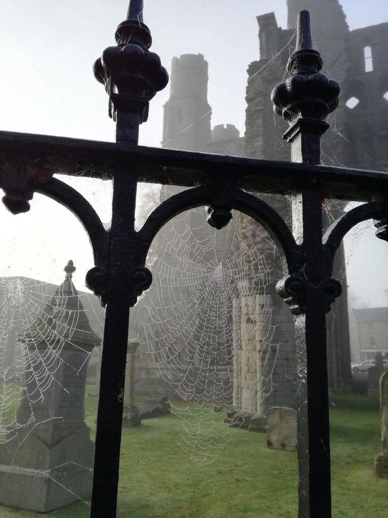 Kelso Abbey 의 이미지. kelso abbey kelsoabbey historicscotland mist 2018