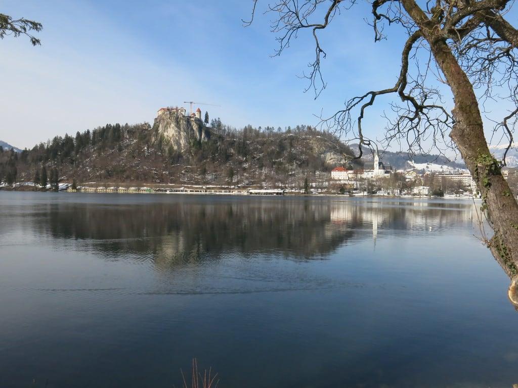 תמונה של Bled Castle. slovenia bled lake bledlake lakebled castle bledcastle castlebled blejskojezero blejsko jezero blejskigrad grad