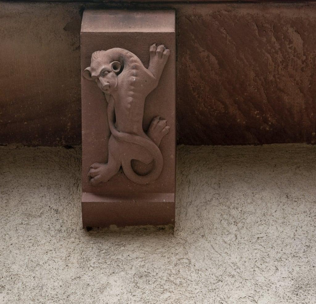 ภาพของ Spalentor. sculpture lion medieval basel gargoyle chimera grotesque spalentor