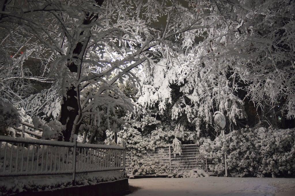 Kamezuka görüntü. tokyo winter snow lamp park