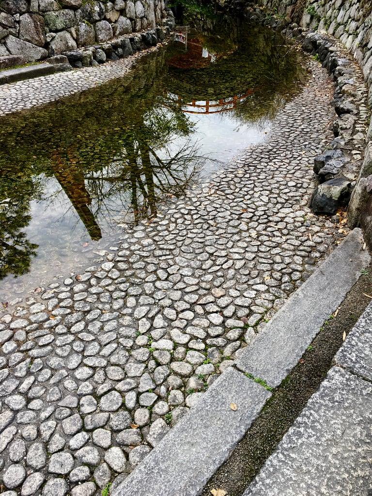 Gambar dari Shimogamo Shrine. canal reflections shimogamoshrine