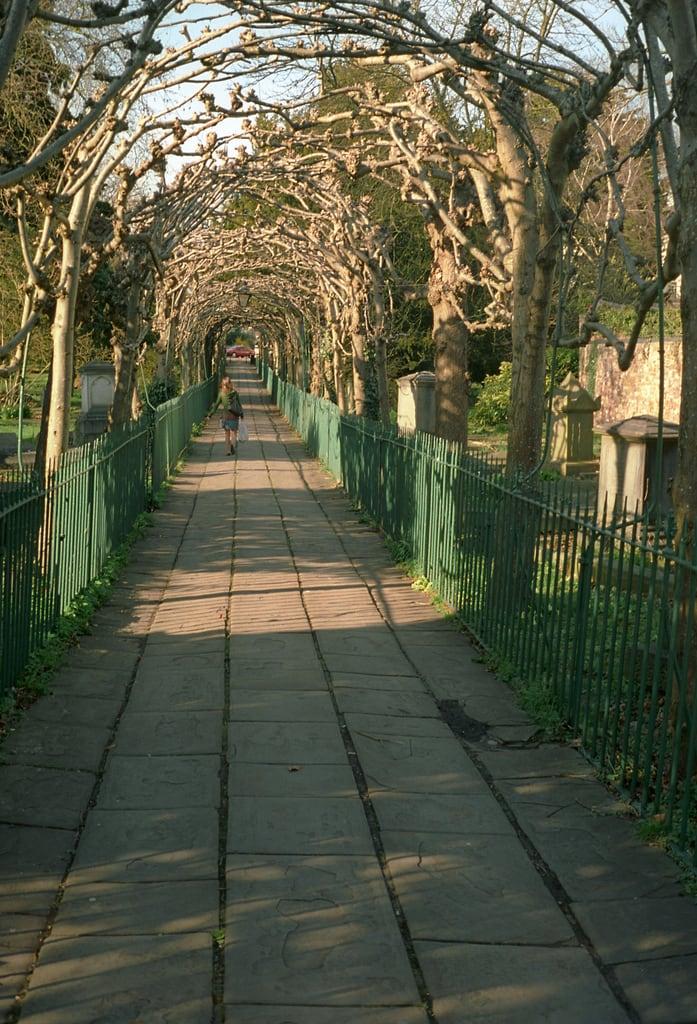 St. Andrew's Clifton の画像. uk england film cemetery graveyard 35mm bristol geotagged churchyard standrews clifton vivitar35es geo:lat=51454024 ektar100 geo:lon=2614789