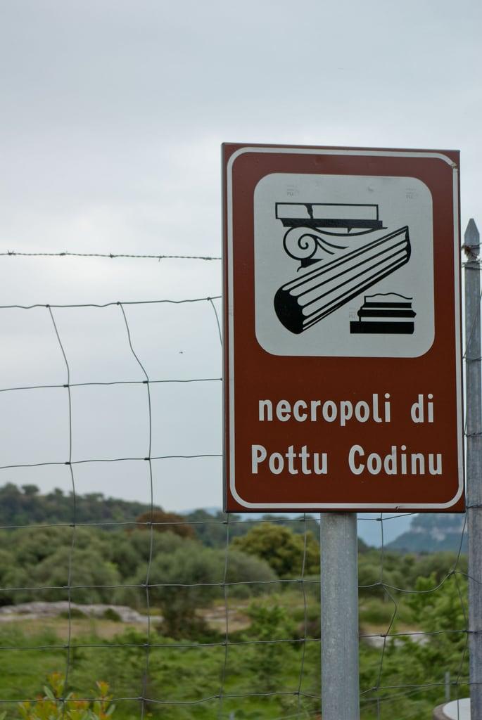 Bilde av Necropoli di Pottu Codinu. sardegna italien geotagged ita monteleoneroccadoria geo:lat=4048754449 geo:lon=851794951