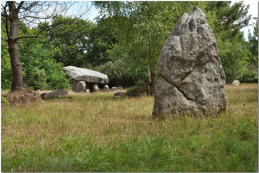 ภาพของ dolmens. bretagne 2010 dolmen menhir eté bigouden nikond90 nikkor1685mm sylvain67 quélarn