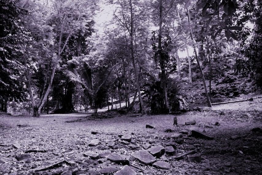 ภาพของ Nim Li Punit. trees ruins maya belize mayan archeology
