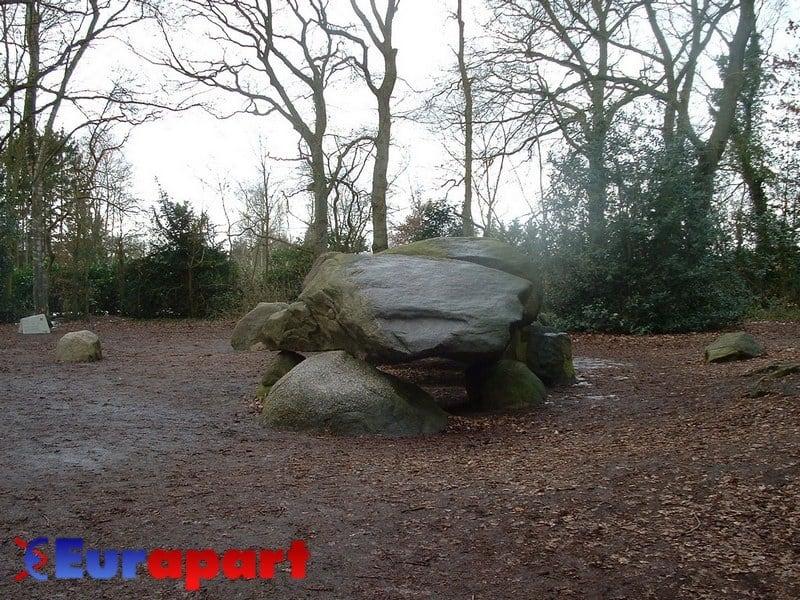 תמונה של Hunebed D27 Borger. netherlands grave geotagged stones tomb drenthe borger hunebed d27 megalthic