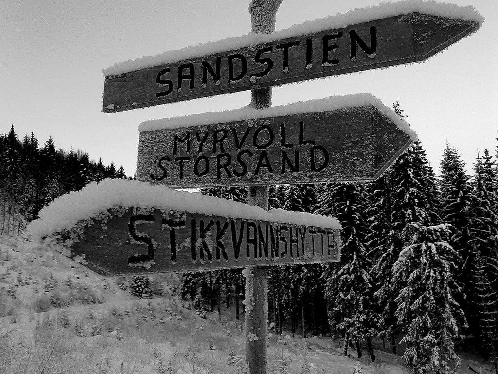 Image of Sandstien. nokia hiking forgetmenot traveling tracking bjorn bjørn phoo theshirt hurum happycaveman heidenstrom heidenstrøm sandstien peggenturen