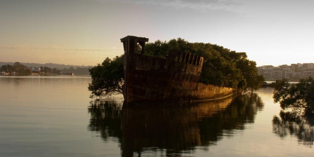 Image of SS Ayrfield. morning reflection water sunrise ship shipwreck wreck homebush ayrfield