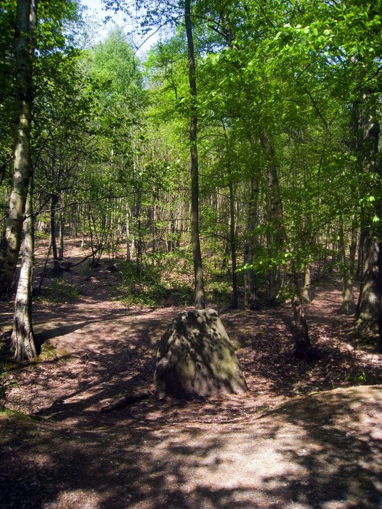 Immagine di Menhir de la Pierre aux Moines. menhir clamart forêtdemeudon pierreauxmoines