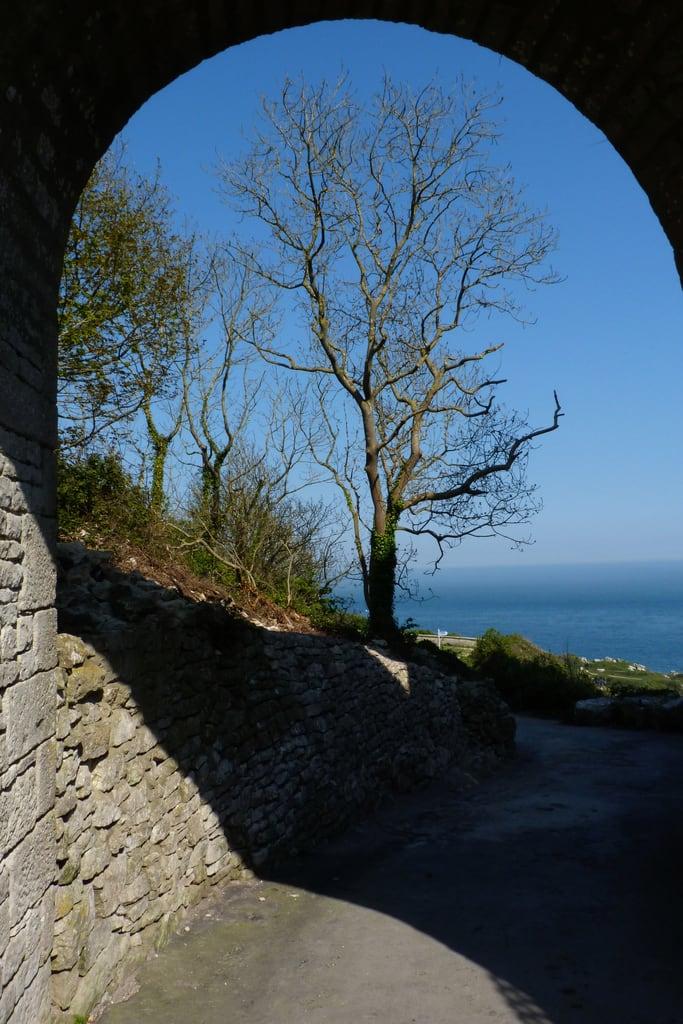 ภาพของ Rufus Castle. road shadow tree castle portland coast spring arch dorset swcp jurassiccoast southwestcoastpath isleofportland churchopecove rufuscastle bowandarrowcastle