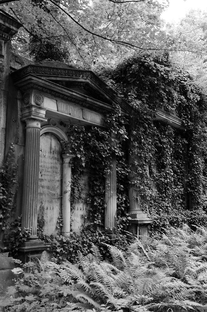 Bilde av Jewish Cemetery. cemetery blackwhite tomb jewish wrocław d5000 rawtherapee nikkor18105mm