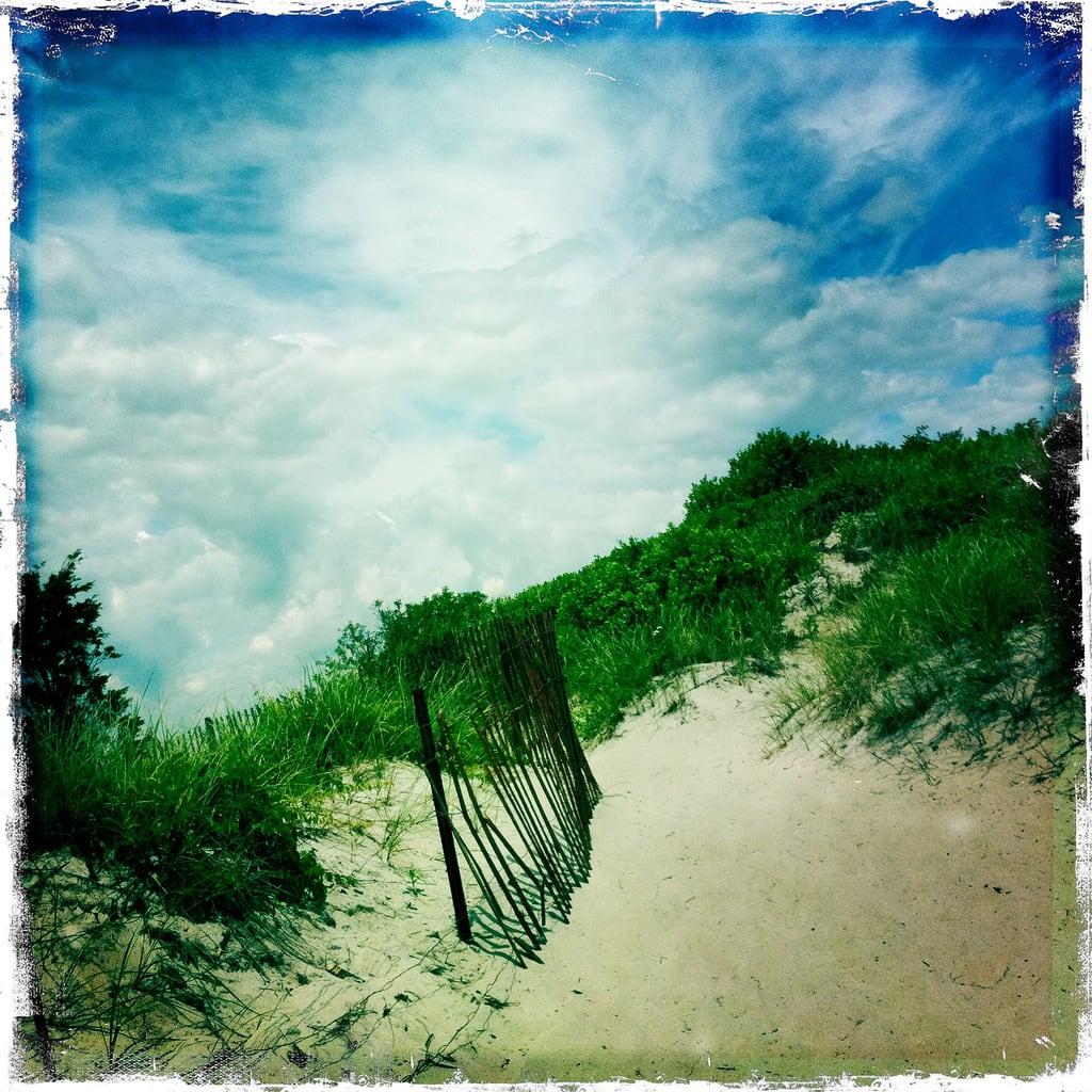 Osprey Beach képe. beach waterford iphone hipstamatic