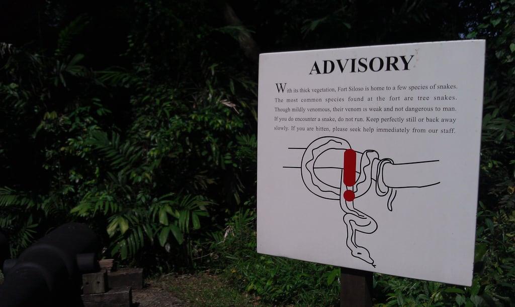 Image of Fort Siloso. tree sign warning singapore snake sentosa fortsiloso