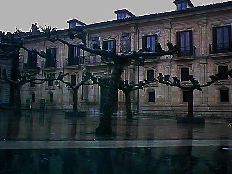 Bild von Palacio del Marqués de San Feliz. rain lluvia palace oviedo palacio elfontán árbolesurbanos casioqv100