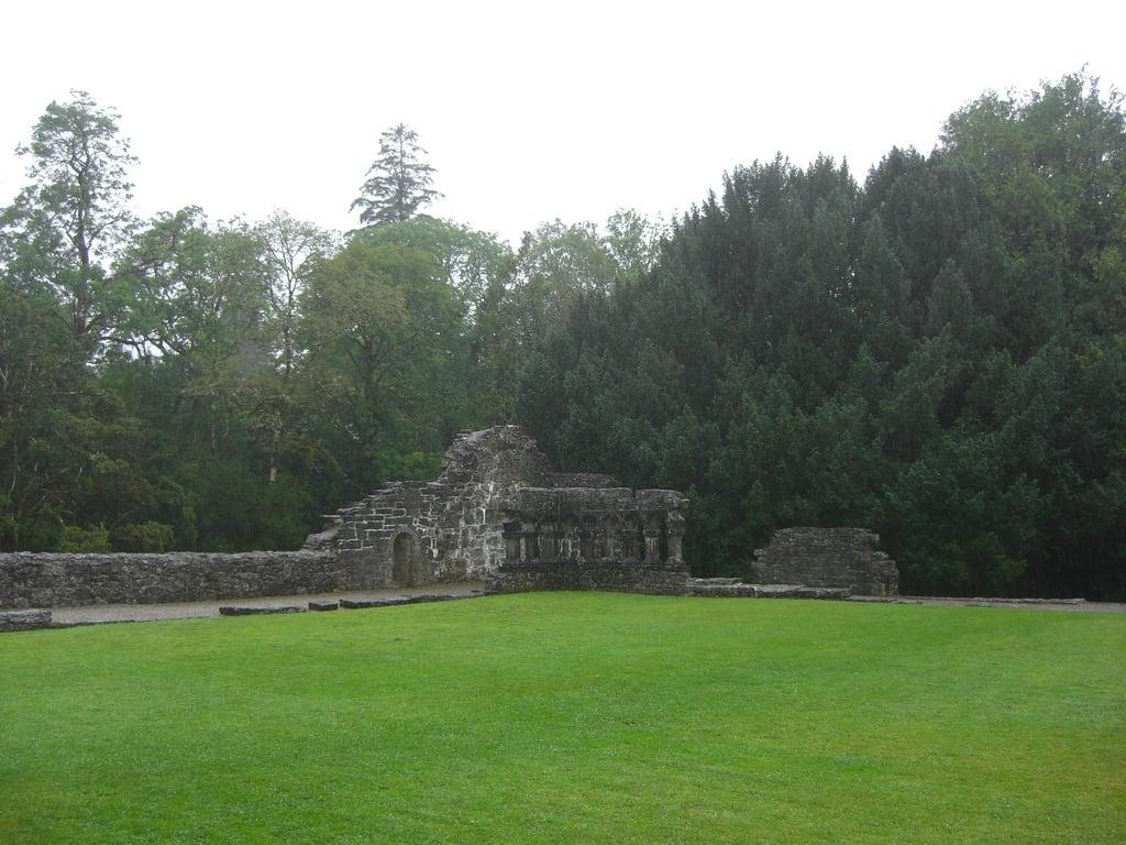 Billede af Cong Abbey. ireland abbey europe cong congabbey